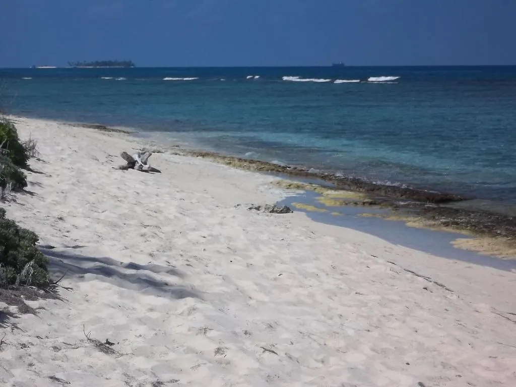 Sandy'S Place Apartment San Andres